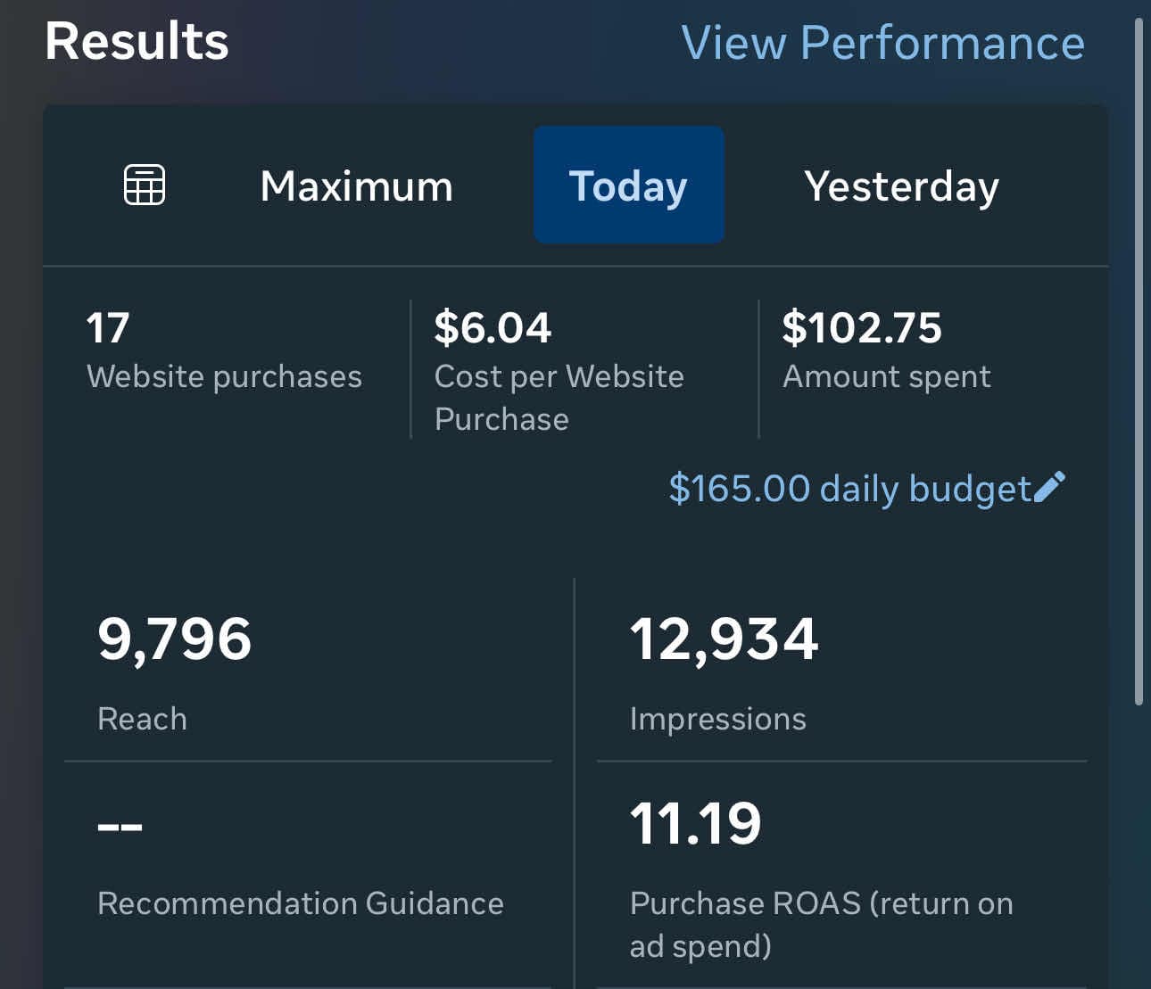Ad performance dashboard showing 17 website purchases, $102.75 amount spent, and 11.19 purchase ROAS.